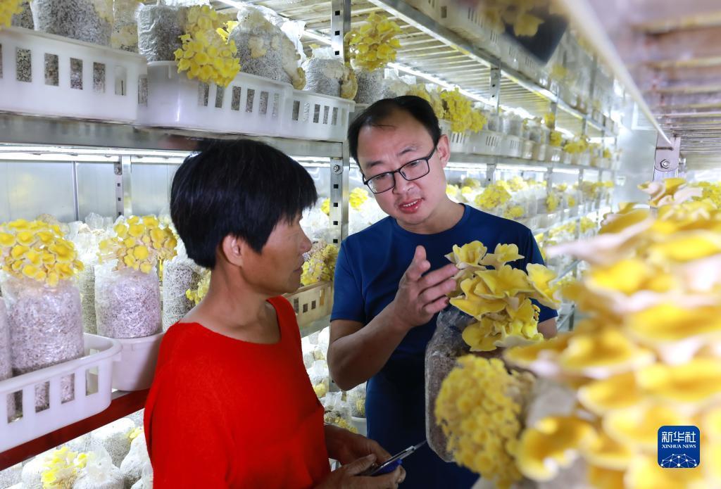 电子游戏所有网站